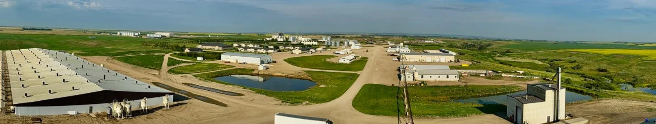 Sunnydale Farm